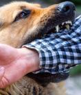 bryn mawr accident lawyer